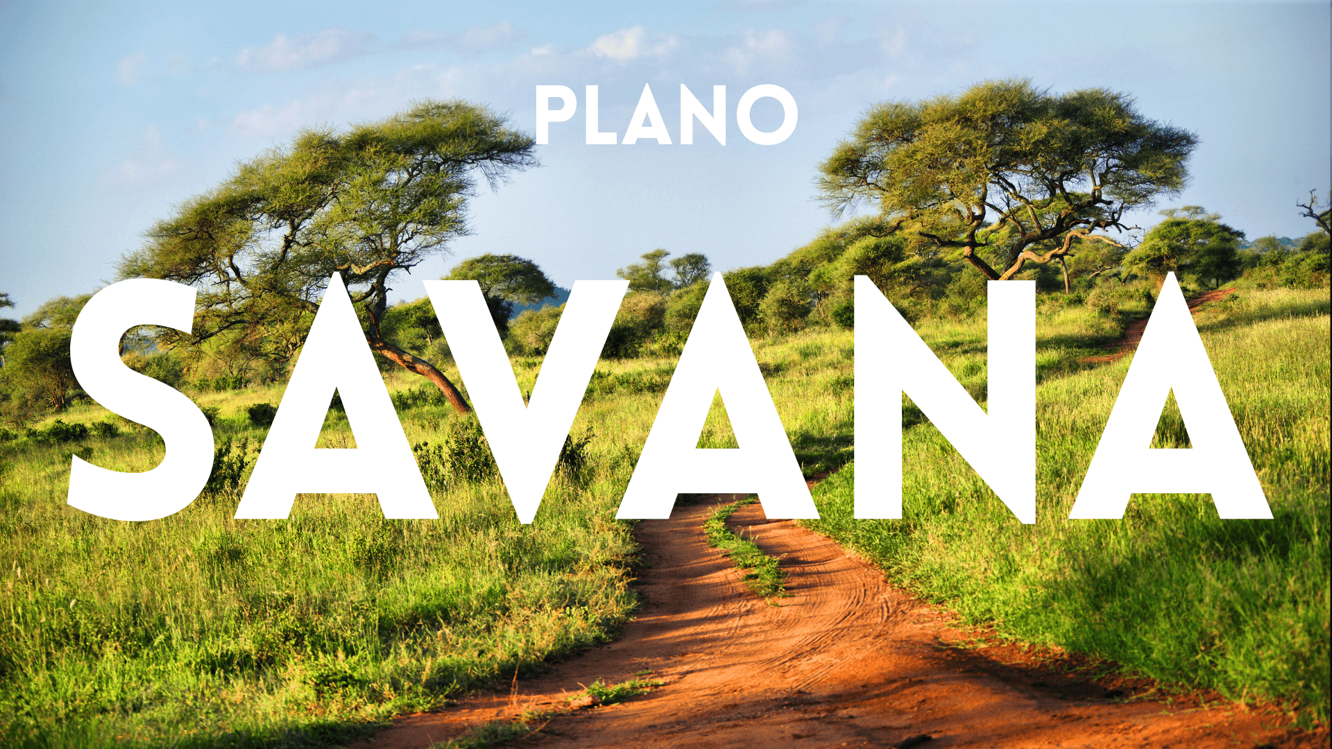 SAVANA